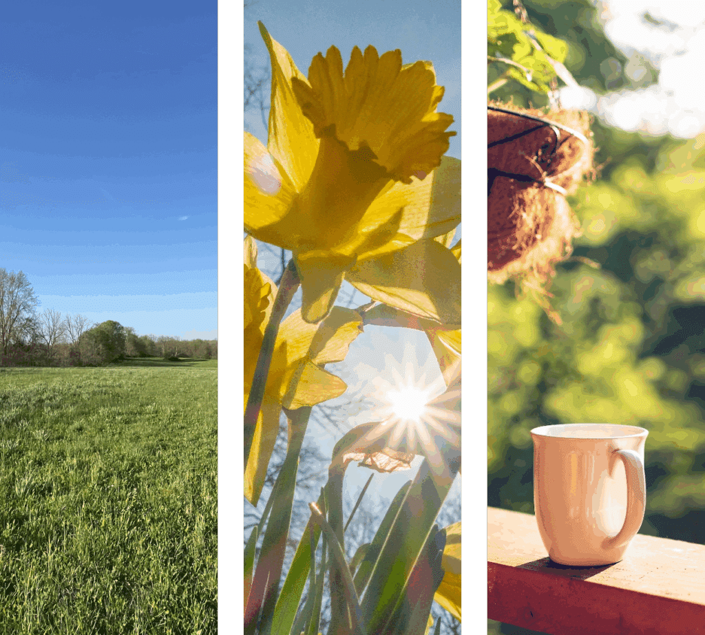 Collage of images from The Farm in Bardstown